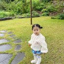 배나무실의아침