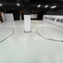 ONLY ONE 레슬링 이미지
