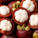 청년과일 이미지