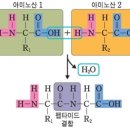 부흥고등학교 이미지