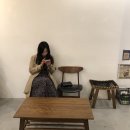 우니카트 이미지