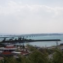 로타(LOTA) 이미지