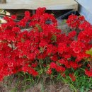 포시즌펜션 이미지