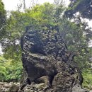 안덕계곡 앞 4 이미지