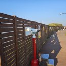 가월돈까스 이미지