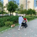 해와달동물병원 이미지