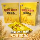 와내거다영농조합법인 | 진도강황영농조합법인 커큐민 발효효소 일주일 후기, 곡물발효소제 루틴 관리