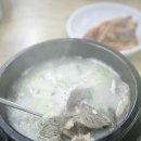 온양온천시장 Daum카페