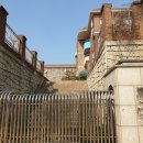 대전대양초등학교 이미지