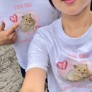 방배로42길 11 이미지