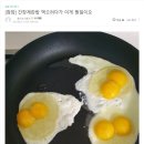 일이오 이미지