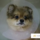 마로동물병원 이미지