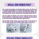 신사유도클럽 이미지