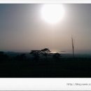 산업도로변 이미지