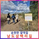 남도삼백리길(10코스) | 순천만 갈대길 남도삼백리길 순천만 갯벌을 붉게 물들인 환상적인 칠면초 바다