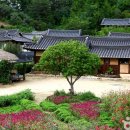 사군자민박 | 영주 무섬마을 여행 추천 가이드
