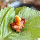 하나숯불갈비 이미지