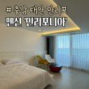 만리포니아 | 충남 태안여행 커플숙소 만리포니아 펜션 분위기좋은 오션뷰숙소