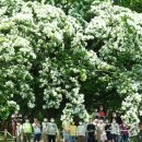 하얀꽃어린이공원 이미지