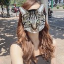이주현 헤어 이미지