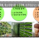 텃밭 신용점 네이버블로그