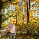 서울숲명품세탁 | 버버리 트렌치코트 크렌즈갤러리에서 명품 세탁한 후기