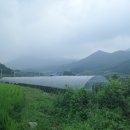 보현, 면봉산 이미지