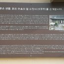 수정사 이미지