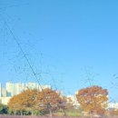 미사경정공원 이미지