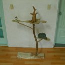 고양이 놀이터 이미지