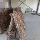 마루농장 이미지