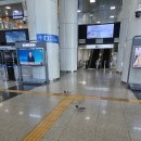와플샵 - 성남시 분당구 분당수서로 477 | [대전역 크로플] 비둘기와 함께 와플샵 내돈내산 솔직후기