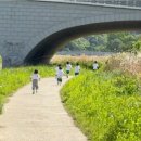 전주중앙초등학교 이미지
