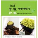 새싹의 맘