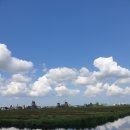 풍차 | 암스테르담 여행 잔세스칸스 풍차마을 방문 후기