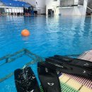 남부대학교 시립국제실내수영장 후기(주차, 이용요금)