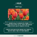 24시휴동물의료센터 네이버블로그