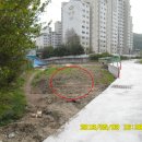 탄벌동-7 이미지