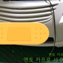 멘토카프로�� 이미지