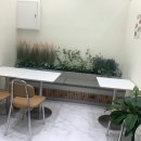 아몽즈커피김해 이미지
