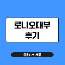로니오대부 후기 정리: 자동차담보 회생자 추가대출 가능할까?