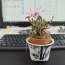 (주)성산제관 | 부사학(富士鶴)