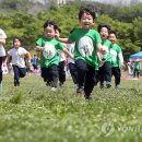 모여라 이미지