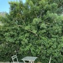 스테이숲숲 이미지