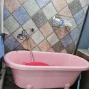 스머프동물병원 이미지