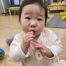 화남어린이집 이미지
