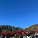 호남센터-8 | 월출산 등산코스 초보도 완등한 생생한 후기