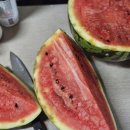 신일청과 이미지