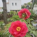 박종상농장 이미지