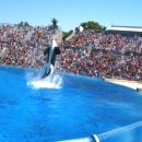 범고래PC 이미지